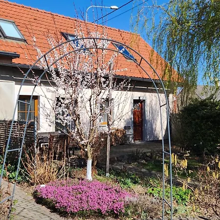 Yasne Οστράβα